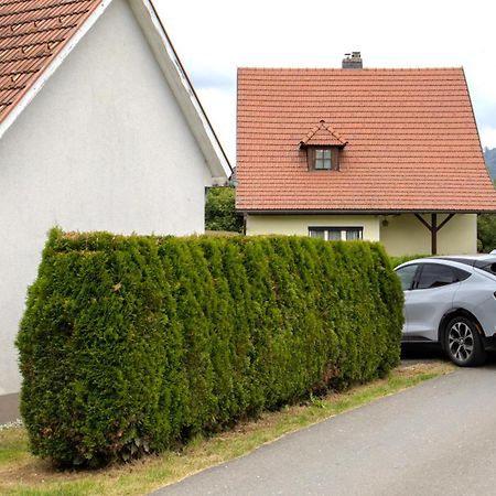 Flat Bull Appartement Mit Garten Sankt Lorenzen bei Knittelfeld エクステリア 写真